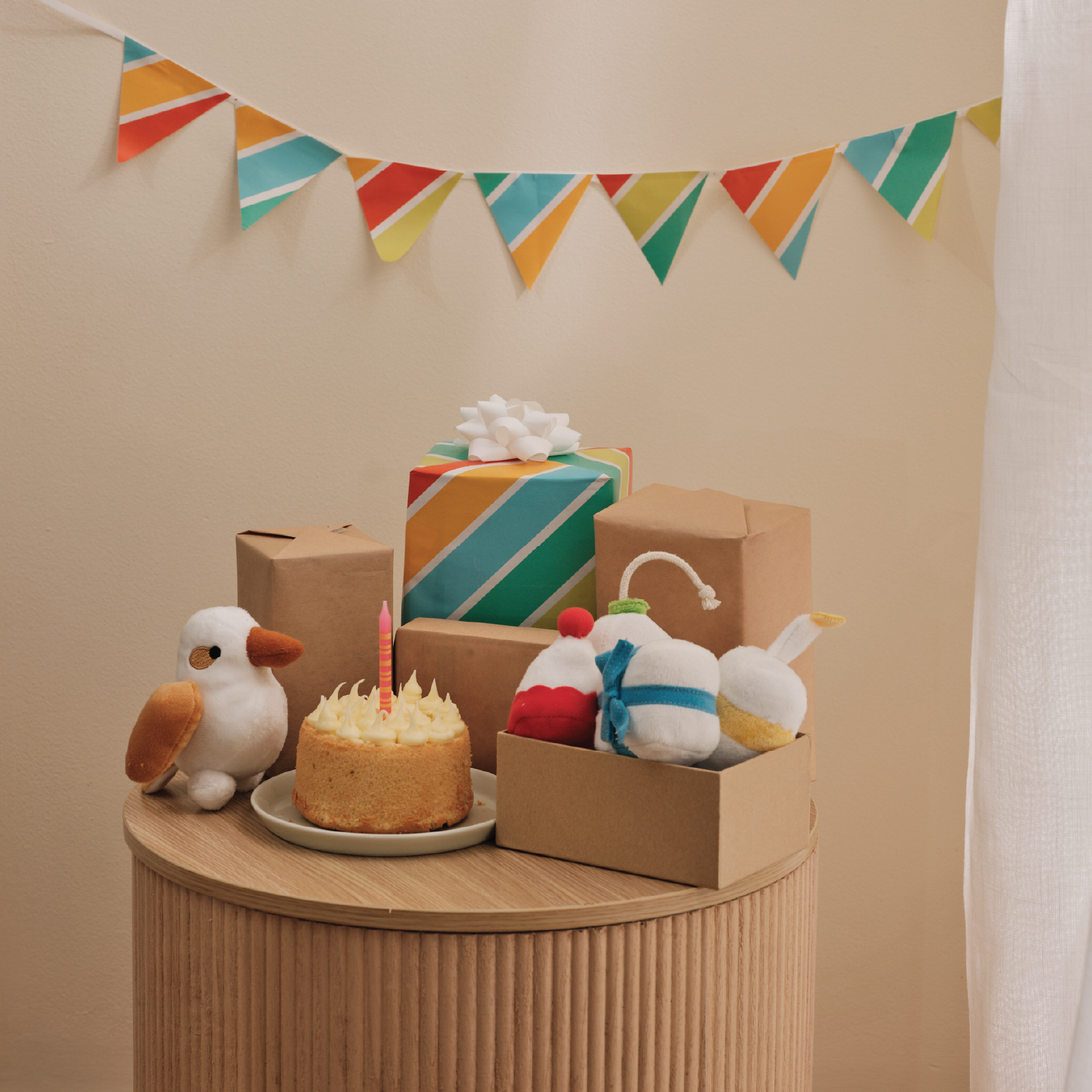 Birthday Toy Set