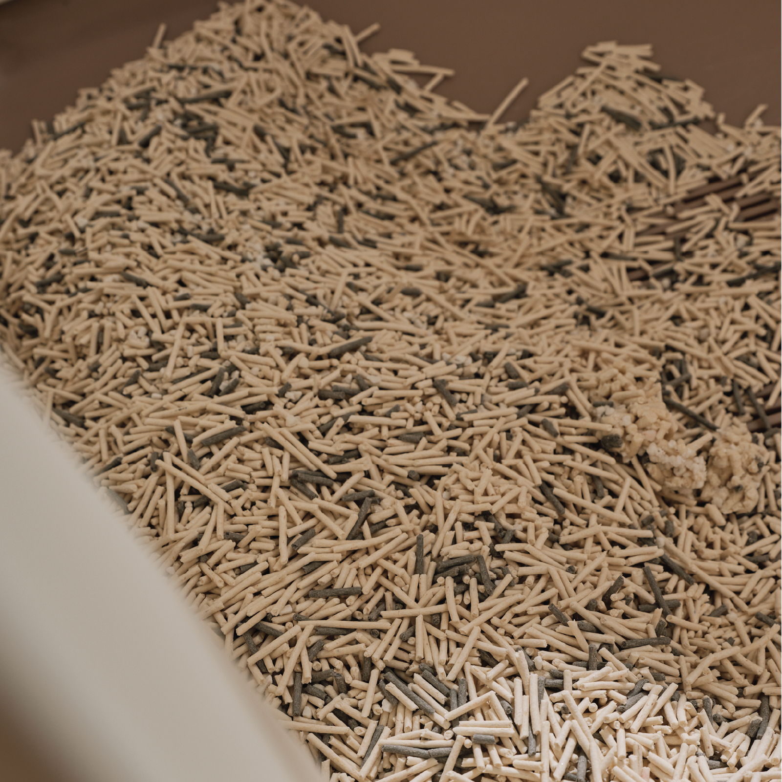 Eco Blend Cat Litter (3KG)