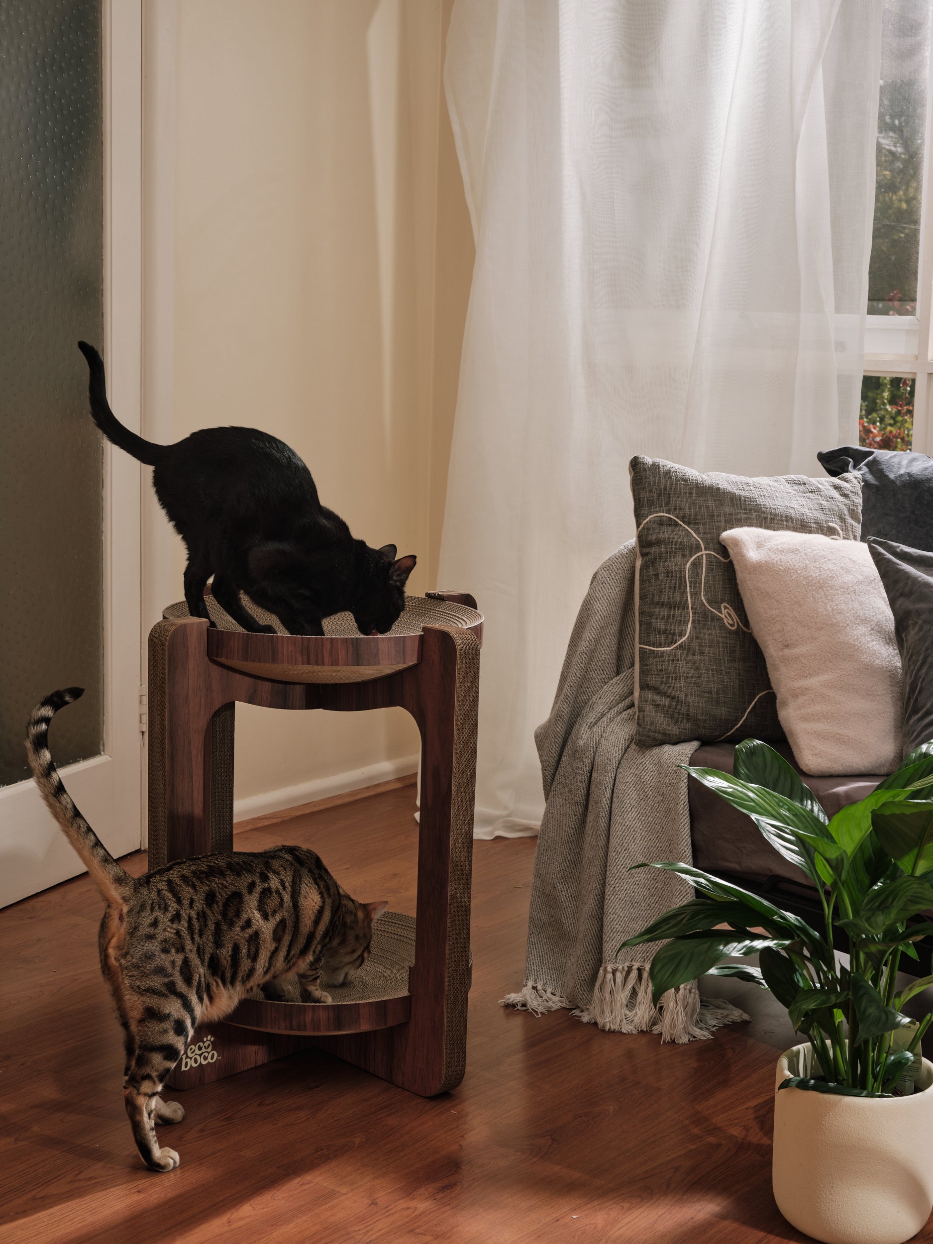 XL Dual-Layer Scratcher