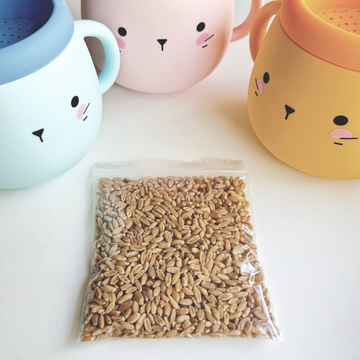 Cat Grass Seeds Refill