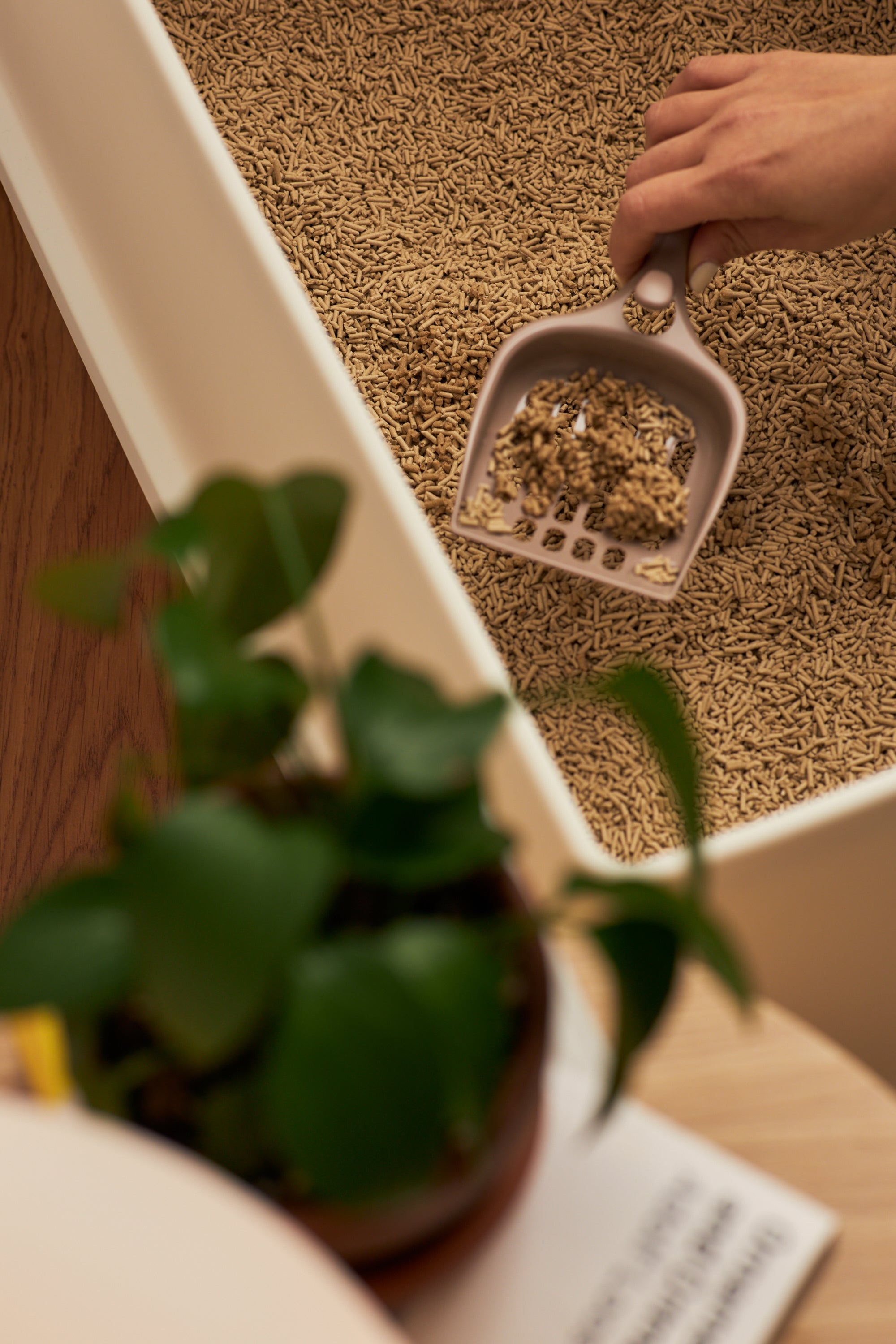 Biodegradable Bamboo Fibre Cat Litter - Fresh Bamboo Scent - 2KG