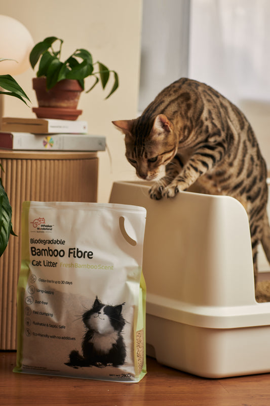 Biodegradable Bamboo Fibre Cat Litter - Fresh Bamboo Scent - 2KG