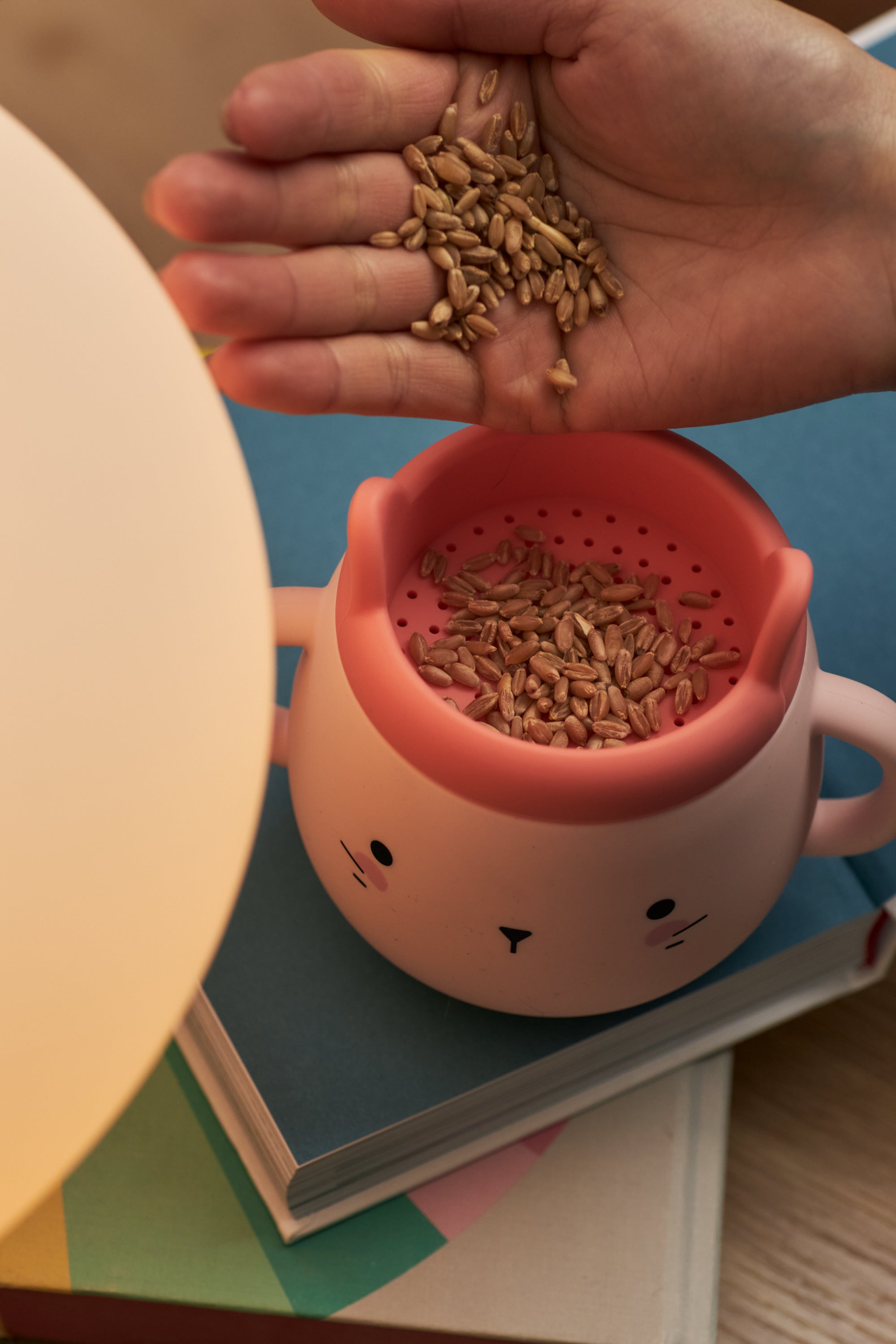 Cat Grass Seeds Refill in 2 sizes