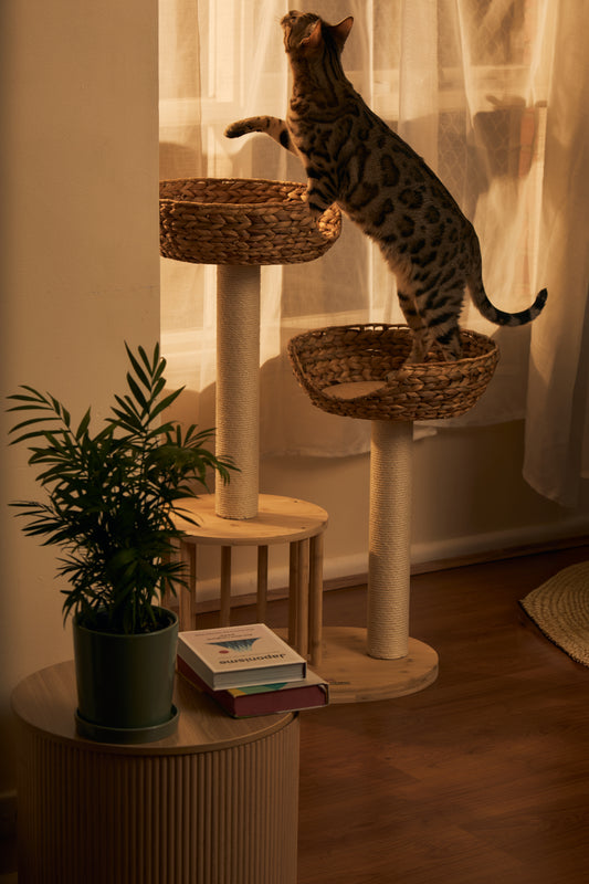 Eco-Friendly Bamboo Cat Tree MEDIUM