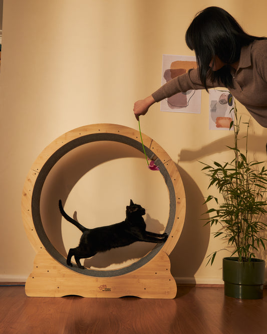 Interactive Bamboo Cat Treadmill LARGE